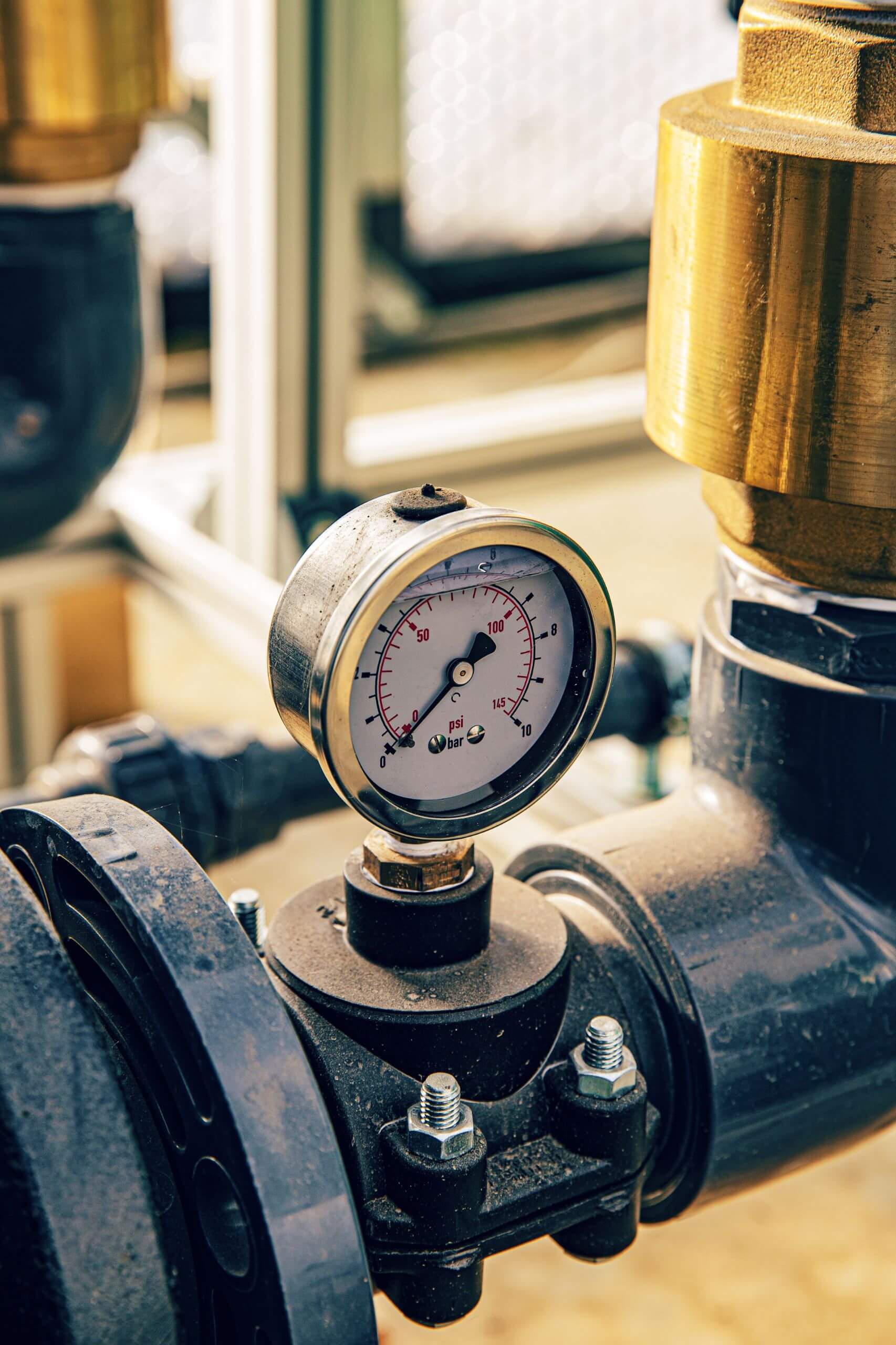 Untitled design - 2025-11-19T095817.719 (1)